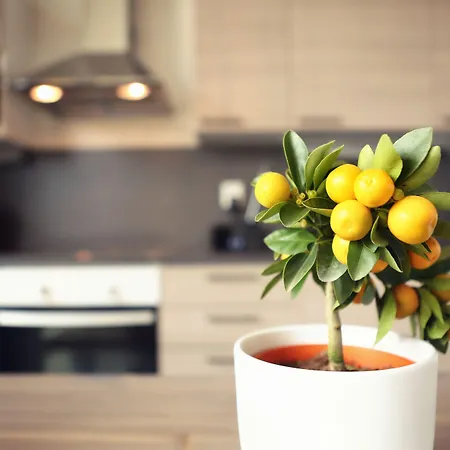 Nallikari Seaside פארק נופש